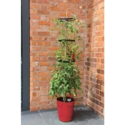 Tomatentoren Met Bewateringssysteem - 150 Cm -Winkel Voor Plantenzaden En Meststoffen klimplantentoren met bewateringssysteem 1519074088 1 600