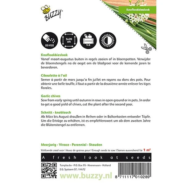 Knoflook-Bieslook chinese Knoflook-Bieslook Chinese -Winkel Voor Plantenzaden En Meststoffen knoflookbieslook chinese 1646840312 24 600