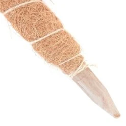 Kokos Kamerplantensteun - Plantstok Ø 45 Mm × 1,5 M -Winkel Voor Plantenzaden En Meststoffen kokos plantstok 45 mm x 15 m 1622714996 3 600