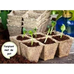 Vezelpotjes Vierkant Biologisch Afbreekbaar - 6 × 6 Cm - Set Van 24 Stuks -Winkel Voor Plantenzaden En Meststoffen kokos potjes vierkant 6 cm 1519297688 1 600