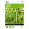 Komkommer Euphoria F1 Hybride Cucumis Sativus