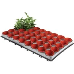Tray Met 40 Kweekpotjes 6 Cm -Winkel Voor Plantenzaden En Meststoffen kweektray 40 potjes 6 cm 1599819541 1 600