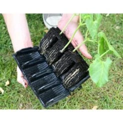 Kweektray Deep Roots - 32 Cellen -Winkel Voor Plantenzaden En Meststoffen kweektray deep roots 32 cellen 1521400145 1 600