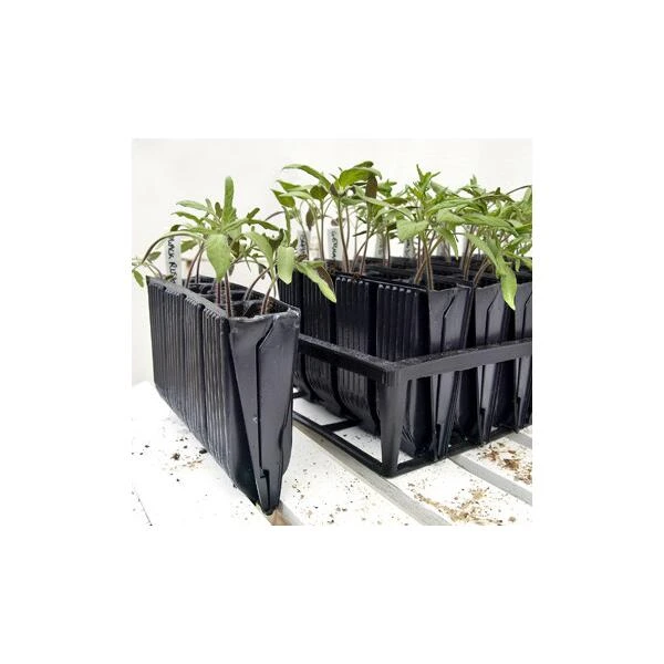 Kweektray Deep Roots - 40 cellen Kweektray Deep Roots - 40 Cellen -Winkel Voor Plantenzaden En Meststoffen kweektray deep roots 40 cellen 1497870768 1 600