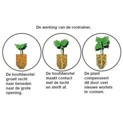 Kweektray Rapid Roots - 32 Cellen -Winkel Voor Plantenzaden En Meststoffen kweektray rapid roots 32 cellen 1487680788 0 600