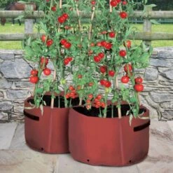 Kweekzak Tomaten 40 Liter - Set Van 2 Stuks