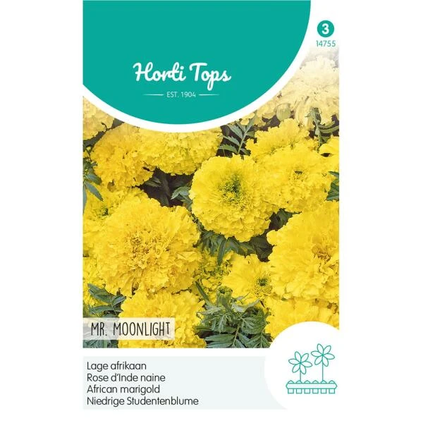 Lage Afrikaan Moonlight - Tagetes Erecta Nana -Winkel Voor Plantenzaden En Meststoffen lage afrikaan moonlight tagetes erecta nana 1646840365 1165 600
