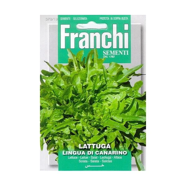 Lattuga Lingua Di Canarino - Kropsla Kleinbladig Lattuga Lingua Di Canarino - Kropsla Kleinbladig -Winkel Voor Plantenzaden En Meststoffen lattuga lingua di canarino kropsla kleinbladig 1646840373 1340 600