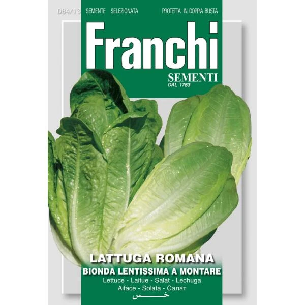 Lattuga romana Bionda - Sla Wonder der vier jaargetijden Lattuga Romana Bionda - Sla Wonder Der Vier Jaargetijden -Winkel Voor Plantenzaden En Meststoffen lattuga romana bionda sla wonder der vier jaargetijden 1646840373 1342 600