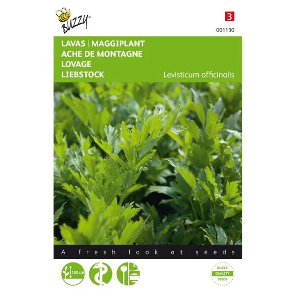 Lavas of Maggikruid - Levisticum officinalis Lavas Of Maggikruid - Levisticum Officinalis -Winkel Voor Plantenzaden En Meststoffen lavas of maggikruid levisticum officinalis 1646840313 39 600