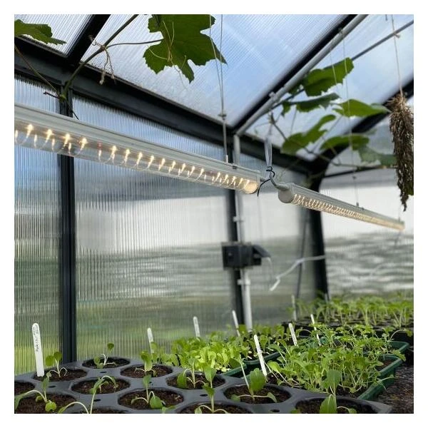 Led groeilamp Florabooster 200 - 9W - 60 cm Led Groeilamp Florabooster 200 - 9W - 60 Cm -Winkel Voor Plantenzaden En Meststoffen ledlamp florabooster 60 cm 1674117905 1 600