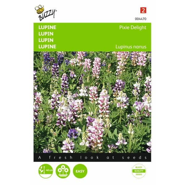 Lupine Pixie Delight - Lupinus nanus Lupine Pixie Delight - Lupinus Nanus -Winkel Voor Plantenzaden En Meststoffen lupine pixie delight lupinus nanus 1646840329 407 600