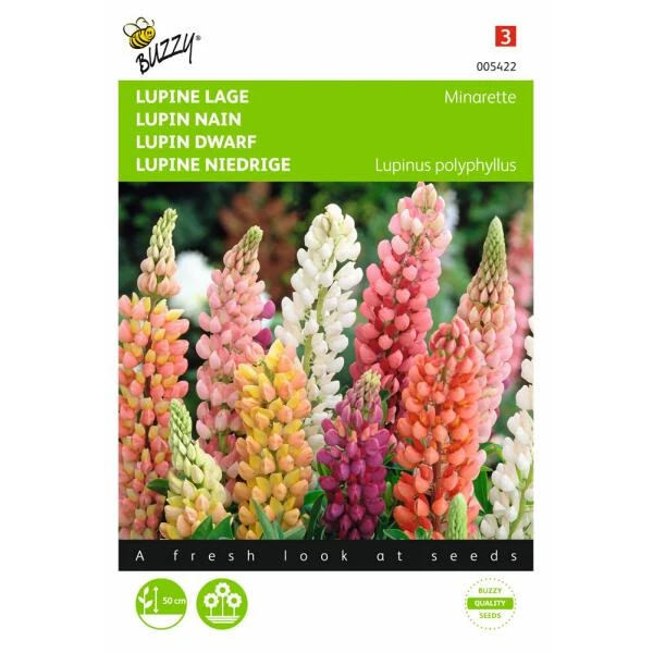 Lupinus polyphyllus Minarette Lupinus Polyphyllus Minarette -Winkel Voor Plantenzaden En Meststoffen lupinus polyphyllus minarette 1646840336 553 600