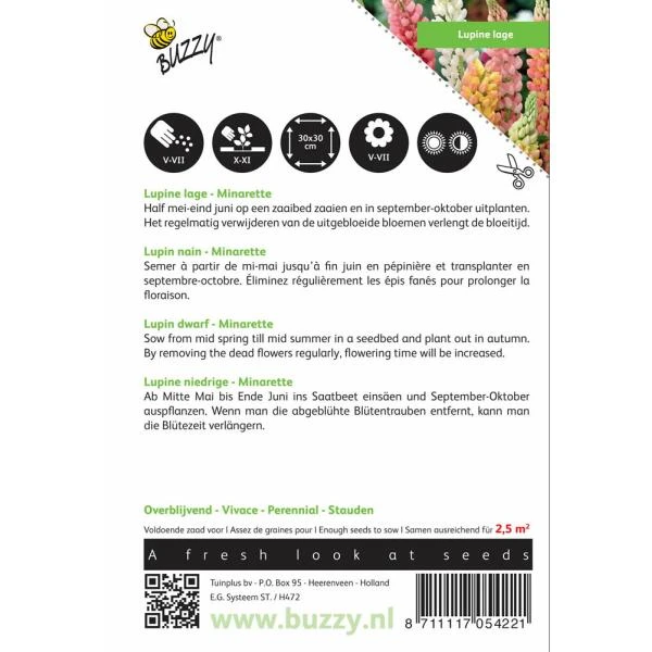 Lupinus polyphyllus Minarette Lupinus Polyphyllus Minarette -Winkel Voor Plantenzaden En Meststoffen lupinus polyphyllus minarette 1646840336 554 600