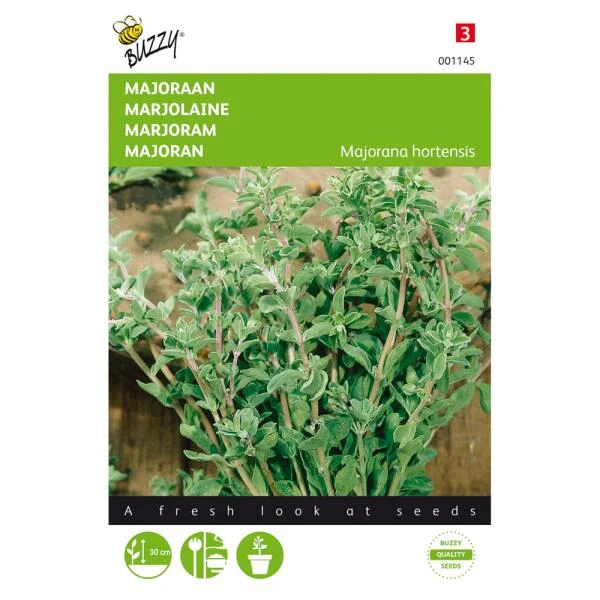 Majoraan - Origanum majorana Majoraan - Origanum Majorana -Winkel Voor Plantenzaden En Meststoffen majoraan origanum majorana 1646840313 43 600