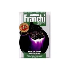 Melanzana Prosperosa - Ronde Aubergine