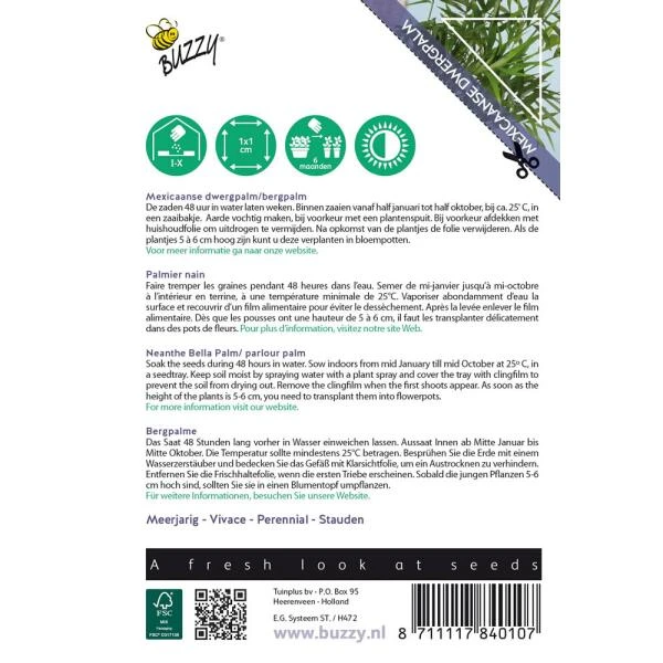 Mexicaanse dwergpalm - Chamaedorea elegans Mexicaanse Dwergpalm - Chamaedorea Elegans -Winkel Voor Plantenzaden En Meststoffen mexicaanse dwergpalm chamaedorea elegans 1646840378 1431 600