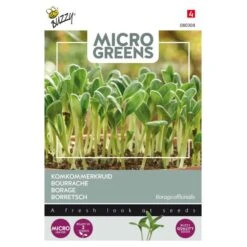 Microgreens Borage Komkommerkruid