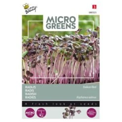 Microgreens Radijs Rode Daikon