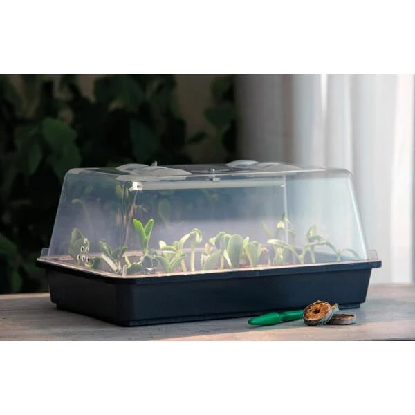 Mini broeikas met groeilicht LUMIO LED - M 38 X 24 X 19 cm Mini Broeikas Met Groeilicht LUMIO LED - M 38 X 24 X 19 Cm -Winkel Voor Plantenzaden En Meststoffen mini broeikas met groeilicht m 1645110903 1 600
