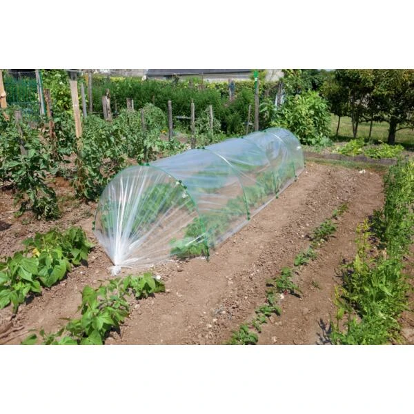 Mini clips voor kweekbogen - set van 10 stuks Mini Clips Voor Kweekbogen - Set Van 10 Stuks -Winkel Voor Plantenzaden En Meststoffen mini clips kweekbogen 1536834423 1 600