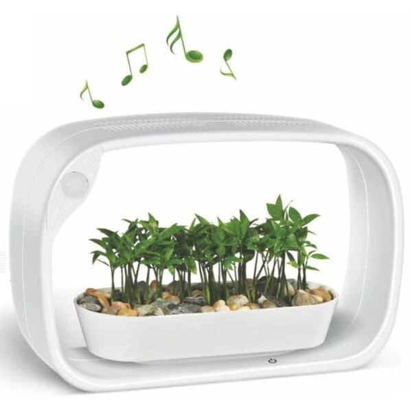 Mini tuin Jardin secret met ledverlichting en bluetooth - rechthoek Mini Tuin Jardin Secret Met Ledverlichting En Bluetooth - Rechthoek -Winkel Voor Plantenzaden En Meststoffen mini tuin jardin secret met bluetooth 1602061938 1 600