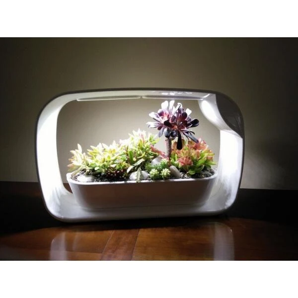 Mini tuin Jardin secret met ledverlichting en bluetooth - rechthoek Mini Tuin Jardin Secret Met Ledverlichting En Bluetooth - Rechthoek -Winkel Voor Plantenzaden En Meststoffen mini tuin jardin secret met bluetooth 1602061938 2 600