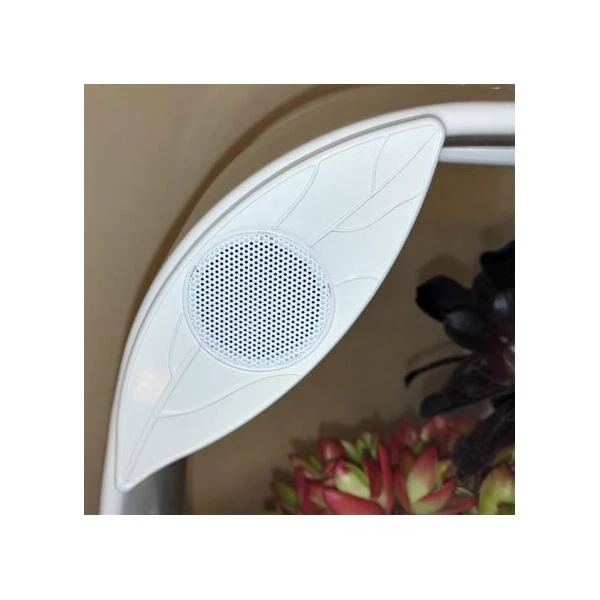 Mini tuin Jardin secret met ledverlichting en bluetooth - rechthoek Mini Tuin Jardin Secret Met Ledverlichting En Bluetooth - Rechthoek -Winkel Voor Plantenzaden En Meststoffen mini tuin jardin secret met bluetooth 1602061938 3 600