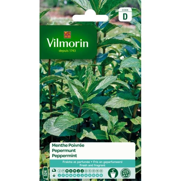 Pepermunt - Mentha piperita Pepermunt - Mentha Piperita -Winkel Voor Plantenzaden En Meststoffen pepermunt mentha piperita 1646839518 62 600