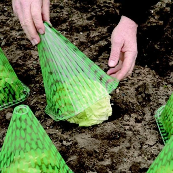 Plantenhoed - zonnehoed - set van 10 stuks Plantenhoed - Zonnehoed - Set Van 10 Stuks -Winkel Voor Plantenzaden En Meststoffen plantenhoed 1484053252 1 600