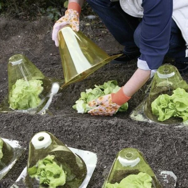 Kunstof PET plantenhoed - geel - set van 12 stuks Kunstof PET Plantenhoed - Geel - Set Van 12 Stuks -Winkel Voor Plantenzaden En Meststoffen plantenhoed geel 1597067271 2 600