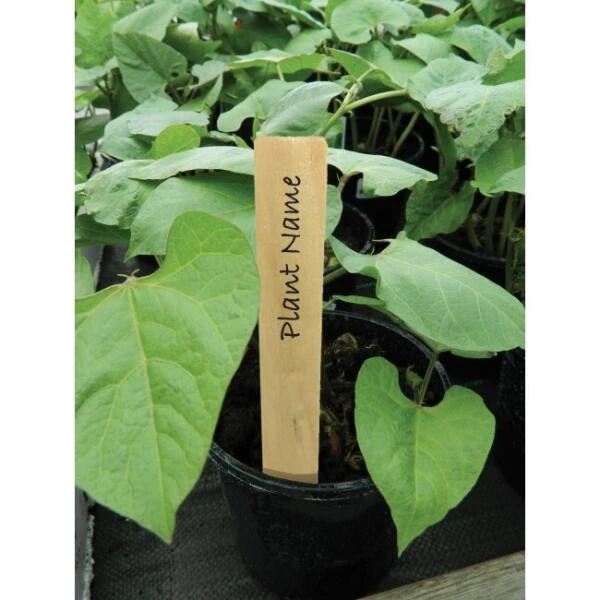 Plantenlabels hout - 10 cm - set van 10 stuks Plantenlabels Hout - 10 Cm - Set Van 10 Stuks -Winkel Voor Plantenzaden En Meststoffen plantenlabels hout 10 cm 1608553933 2 600