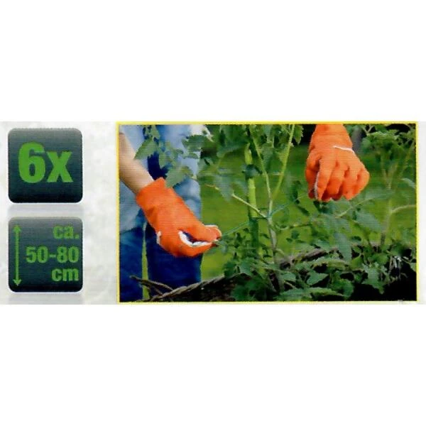 Plantenstaken uitschuifbaar 50 tot 80 cm - set van 6 stuks Plantenstaken Uitschuifbaar 50 Tot 80 Cm - Set Van 6 Stuks -Winkel Voor Plantenzaden En Meststoffen plantenstaken uitschuifbaar 1573129550 1 600