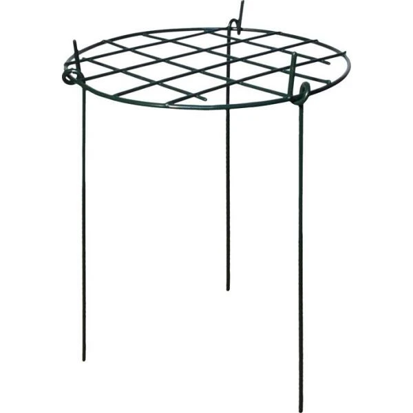 Plantensteun groeiraster 41 × 61 cm Plantensteun Groeiraster 41 × 61 Cm -Winkel Voor Plantenzaden En Meststoffen plantensteunraster 41 x 61 cm 1556879494 1 600