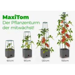 Plantentoren Maxitom Met Waterreservoir - Antraciet -Winkel Voor Plantenzaden En Meststoffen plantentoren maxitom antraciet 1677571236 4 600