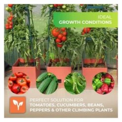 Plantentoren Maxitom Met Waterreservoir - Terracotta -Winkel Voor Plantenzaden En Meststoffen plantentoren maxitom terracotta 1677568602 1 600