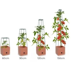 Plantentoren Maxitom Met Waterreservoir - Terracotta -Winkel Voor Plantenzaden En Meststoffen plantentoren maxitom terracotta 1680165024 1 600