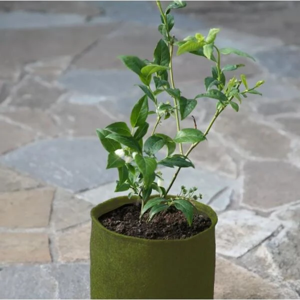 Plantzakken 5 liter Vigoroot - set van 3 stuks Plantzakken 5 Liter Vigoroot - Set Van 3 Stuks -Winkel Voor Plantenzaden En Meststoffen plantzakken 5 liter vigoroot 1487757667 0 600