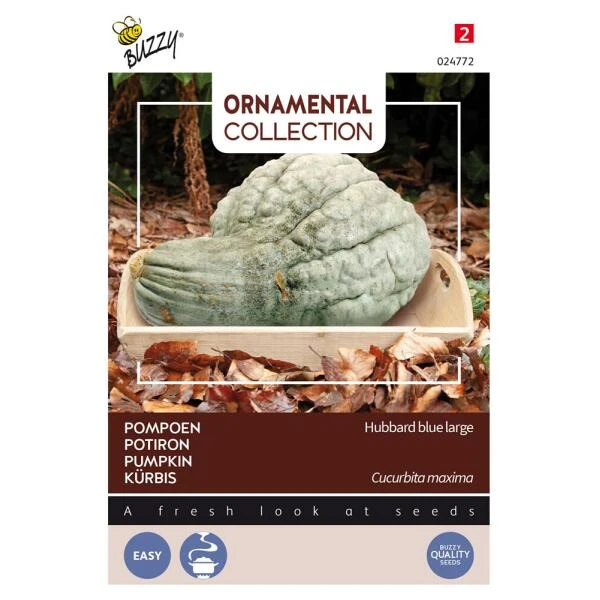 Pompoen Kalebas Large blue hubbard Pompoen Kalebas Large Blue Hubbard -Winkel Voor Plantenzaden En Meststoffen pompoen kalebas large blue hubbard 1646840338 585 600