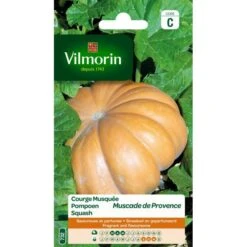 Pompoen Muscade De Provence