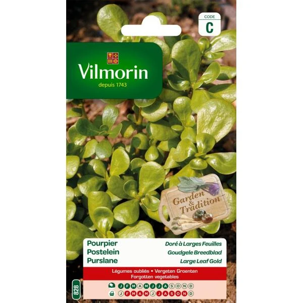 Postelein Goudgele Breedblad Postelein Goudgele Breedblad -Winkel Voor Plantenzaden En Meststoffen postelein goudgele breedblad 1646839520 73 600