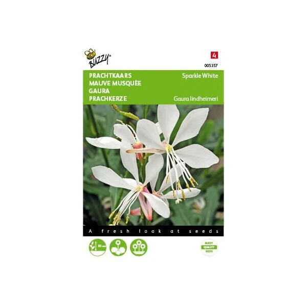 Prachtkaars - Gaura Sparkle White Prachtkaars - Gaura Sparkle White -Winkel Voor Plantenzaden En Meststoffen prachtkaars gaura sparkle white 1646840393 1704 600