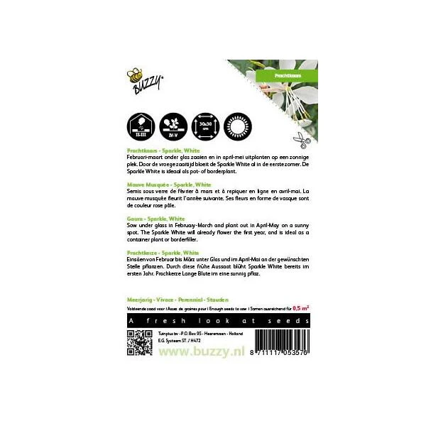 Prachtkaars - Gaura Sparkle White Prachtkaars - Gaura Sparkle White -Winkel Voor Plantenzaden En Meststoffen prachtkaars gaura sparkle white 1646840393 1705 600