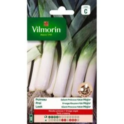 Prei Vroege Reuzen Ras Major