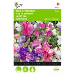 Reukerwt Bijou - Lathyrus Odoratus