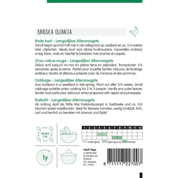 Rode kool Langedijker vroege - Brassica oleracea Rode Kool Langedijker Vroege - Brassica Oleracea -Winkel Voor Plantenzaden En Meststoffen rode kool langedijker vroege brassica oleracea 1646840350 839 600
