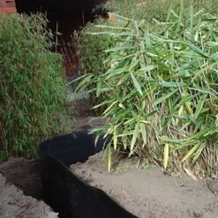 Rootblock Professionele Wortelwering 60 Cm Hoog - / Strekkende Meter -Winkel Voor Plantenzaden En Meststoffen rootblock professionele wortelwering 1552733360 3 600