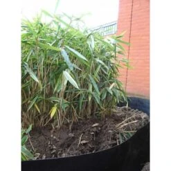 Rootblock Professionele Wortelwering 60 Cm Hoog - / Strekkende Meter -Winkel Voor Plantenzaden En Meststoffen rootblock professionele wortelwering 1552733360 5 600