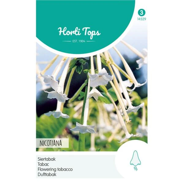 Siertabak - Nicotiana sylvestris Siertabak - Nicotiana Sylvestris -Winkel Voor Plantenzaden En Meststoffen siertabak nicotiana sylvestris 1646840344 694 600