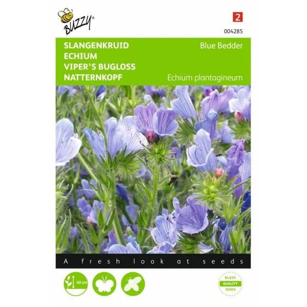 Slangenkruid Blue Bedder - Echium Plantagineum -Winkel Voor Plantenzaden En Meststoffen slangenkruid blue bedder echium plantagineum 1646840327 349 600